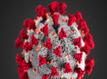 3D rendered COVID virus